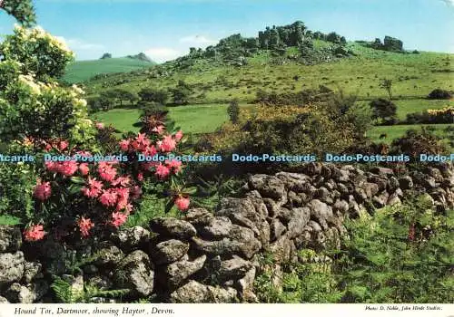 D233073 Devon Hound Tor Dartmoor zeigt Haytor John Hinde Ltd D Noble