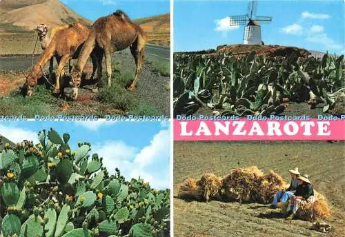 D233074 Lanzarote Typische Szenen Coleccion Las Afortunadas de Comercial Silva Mu