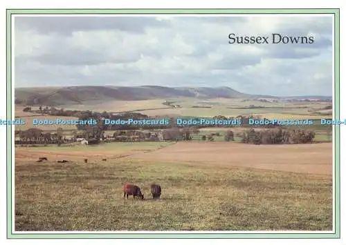 D233079 Sussex Downs The Cuckmere Valley und Firle Beacon von den Pisten des