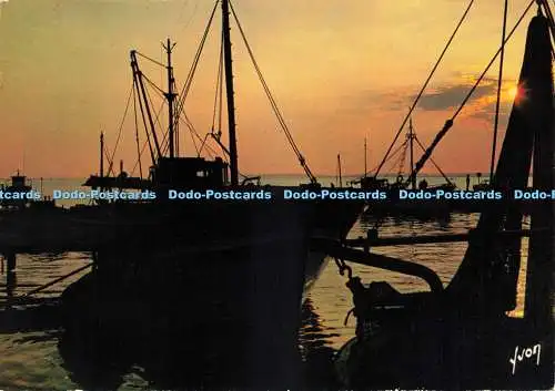 D238969 Le Grau Du Roi Les Bateaux au Crepuscule Yvon S P A D E M