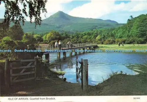 D238973 Isle of Arran Ziegenfell von Brodick Whiteholme A Hail Caledonia Product