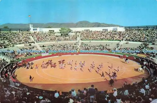 D234403 Benidorm Alicante Interior de la Plaza de Toros Rueck No 63