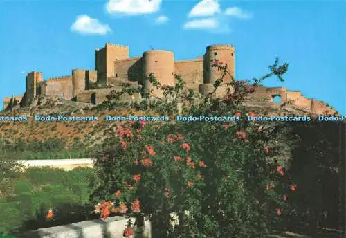 D236660 Almeria Citadelle Arribas