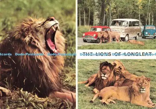 D234407 The Lions of Longleat John Hinde Ltd Multi View