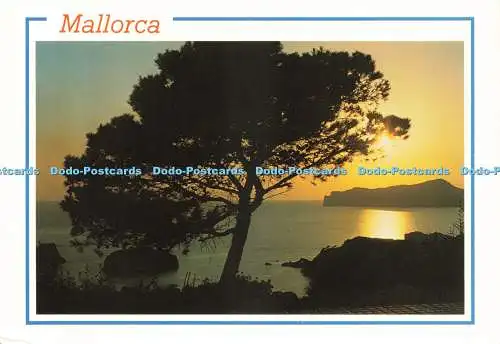 D236664 Mallorca Baleares Espana Palma