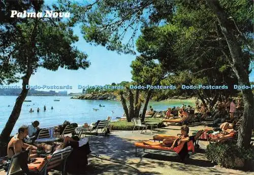 D238984 Mallorca Baleares Espana Palma Nova Palma Planas