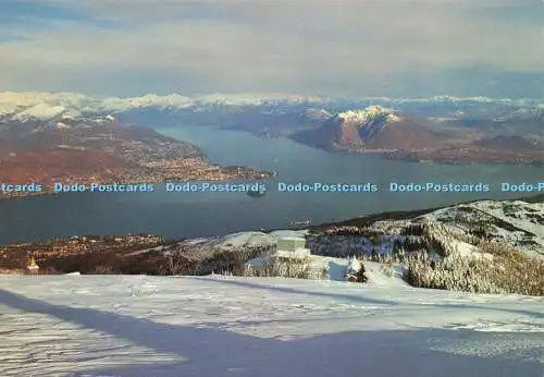 D238988 Panorama Del Lago Maggiore Reggiori