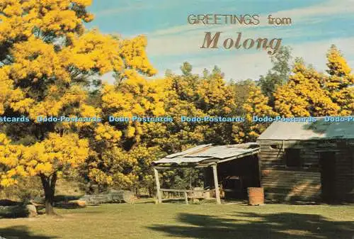 D233109 Grüße aus Molong australische ländliche Szene Nationalansicht von Murfett Pt