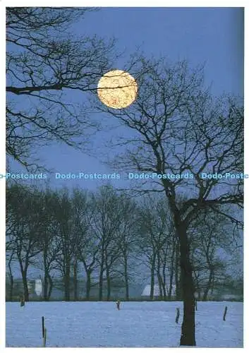 D236691 Full Moon Biri Publications Jaap Weidema