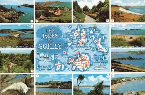 D233117 Isles of Scilly Tresco Gardens Great Bay St Martin F E Gibson Natural Co