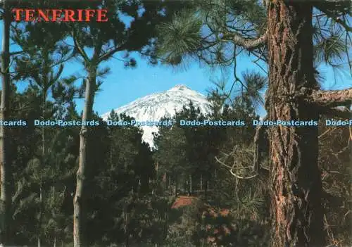 D233119 Teneriffa The Teide Garcia y Correa S L Perla