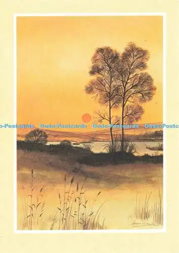 D236699 Blick auf den See
