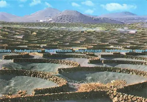 D233124 Lanzarote La Geria Exclusiva de Comercial Silva Coleccion Las Afortunada