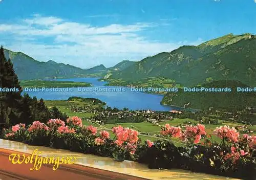 D239016 Wolfgangsee Mit Wolfgang Schones Österreich