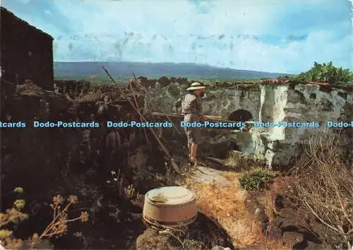 D234456 Acores Ilha do Pico Cozendo Bolo de Milho Comer 1982