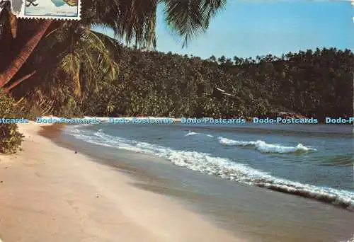 D229818 Indischer Ozean Seychellen Inseln Anse Takamaka Dan und Pat Waldron 1971