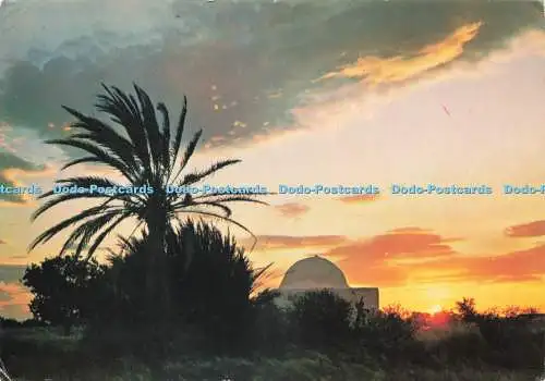 D234464 Tunisie le Crepuscule H Ismail 1981