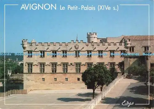 D239040 Avignon Le Petit Palais Esys Azurcolor