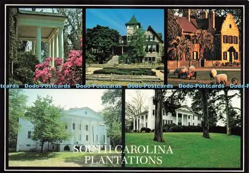 D236737 South Carolina Plantations APS Hampton Foto mit freundlicher Genehmigung Mehrfachansicht