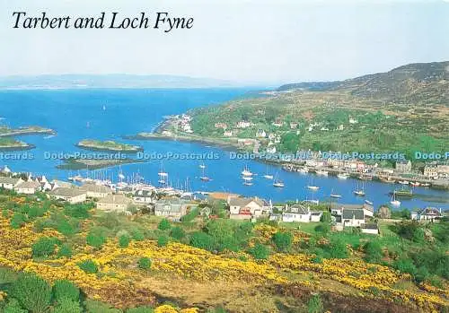 D234477 Tarbet and Loch Fyne Whiteholme Ltd Hagel Caledonia Produkt