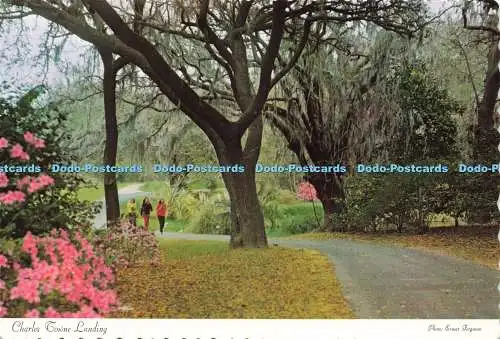 D236740 Charles Towne Landing Charleston Postkarte Dexter Press Ernst Ferguson