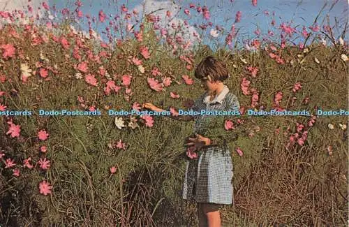 D234488 Cosmos Tour Rhodesien und Nyasaland W T Miller