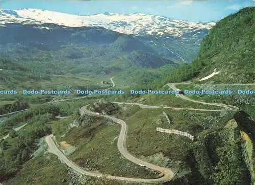 D229868 Norwegen Die Straße und die Kurven in Austmannalia Aune Ultra