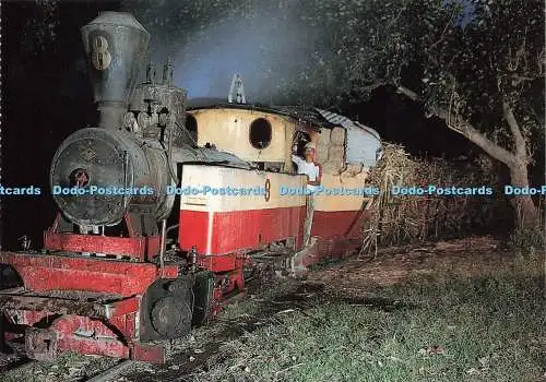 D236771 Das Rohr bei Nacht in einer Java-Zuckermühle letzte Dampflokomotive einbringen