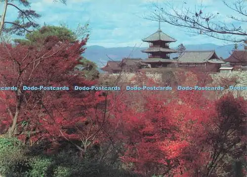 D234514 Kyoto Kiyomizu Tempel Asahi Fukui Asahido
