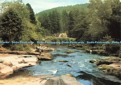 D233218 Northumberland The River Coquet at Rothbury J Arthur Dixon Ltd Douglas S