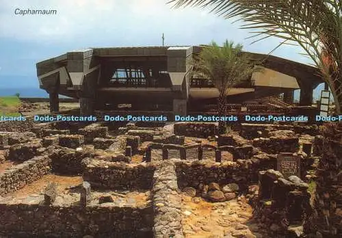 D236790 Capharnaum The New Church Palphot
