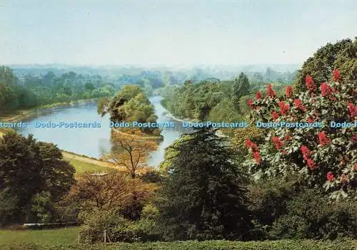 D239099 Surrey Ein Blick vom Richmond Hill J Arthur Dixon