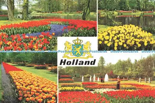D239117 Holland In Flowerdecoration Euro Color Card Multi View