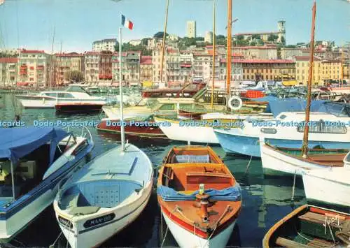 D234573 Cannes Alpes Maritimes Le Port des Yachts et le Suquet Couleurs et Lumie