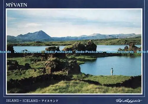 D229933 Island Lake Myvatn Litbra HF