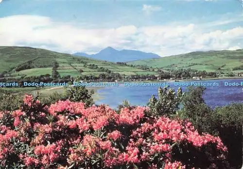 D239146 Isle of Arran mit Blick auf Lamlash Braemar Films 1978