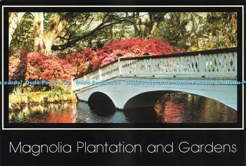D234583 South Carolina Magnolia Plantation and Gardens Charleston Postkarte Erne