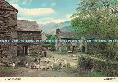 D239157 Lake District A Lakeland Farm Photo Precision Colourmaster International