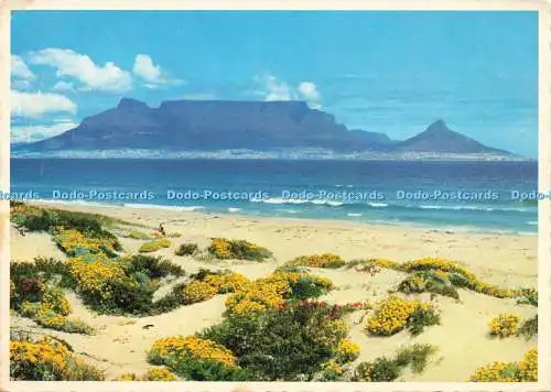 D229945 Kapstadt Tafelberg aus Blouberg Strand Arthur englische Drucke