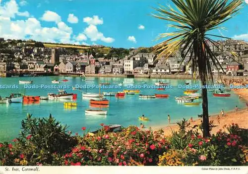 D239159 Cornwall St Ives John Hinde 1977