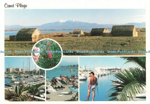 D239174 Canet Plage Divers Aspects et les Maisons De Pecheurs Dino Multi View