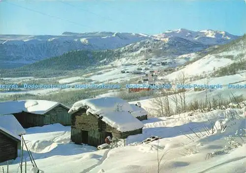 D229983 Norwegen Blick auf Beito Valdres Tal Richtung Berg Mugnetind Normann