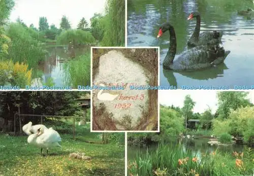D236921 Eskild Olsen Multi View