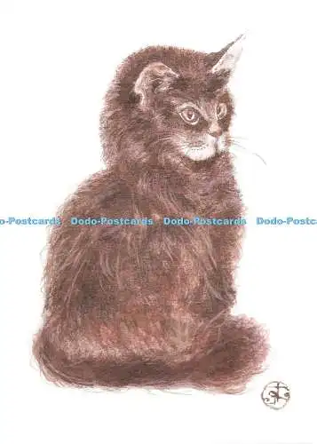 D234675 Chat Geo Thiercy Cartes Postales Magazin