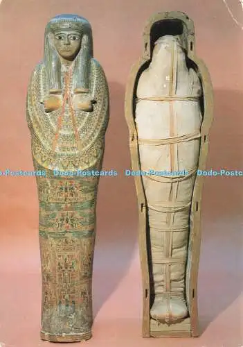 D234699 The British Museum Mummy and Coffin of an Unnamed Priestess Theben Henry