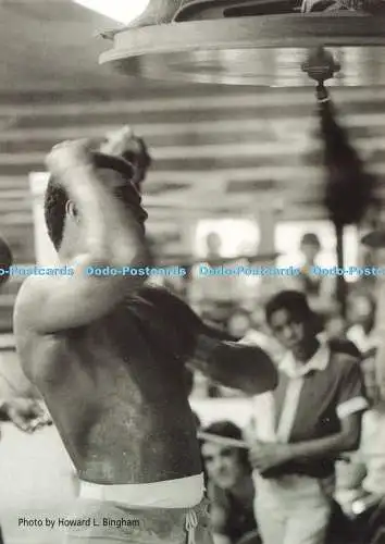 D234714 Great Muhammed Ali Boomerang Howard L Bingham