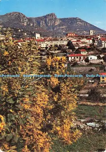 D234722 Cote D Azur Vence La Jolie Vue Generale S E P T 1970
