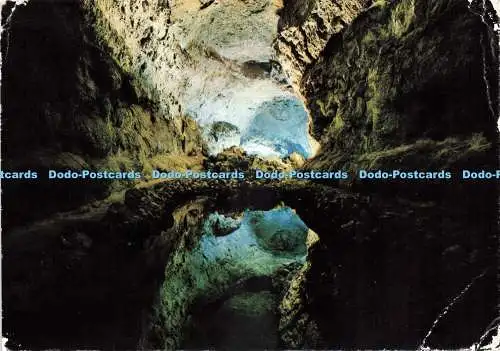 D236988 Lanzarote Greens Caves Las Afortundas Rabadan