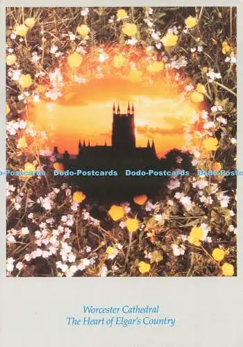 D239301 Worcester Cathedral The Heart of Elgar Country Bill Meadows Window of Wo