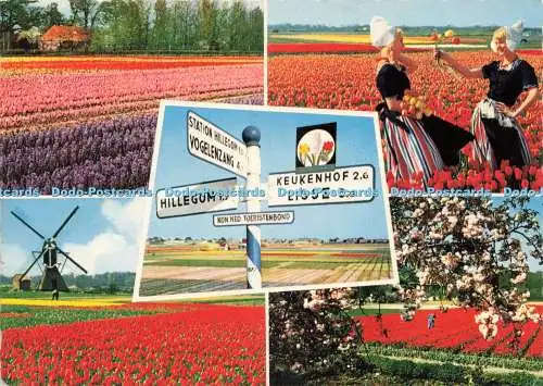 D236991 Holland im Blumendekor Vita Nova 1970 Multi View